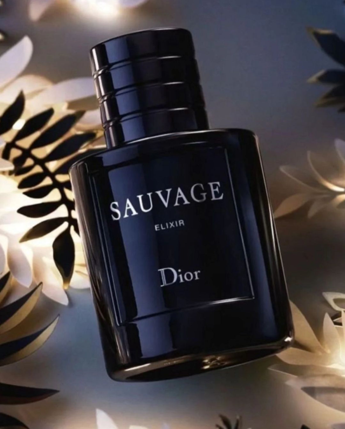 Di*r S*uvage e*ixiir (PREMIUM)