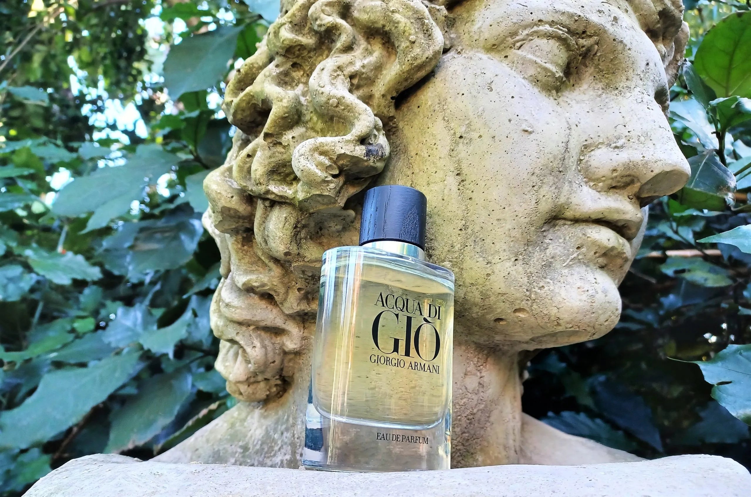Gior*iio Ar*anii Ac*ua Di G*o Eau De Perfume