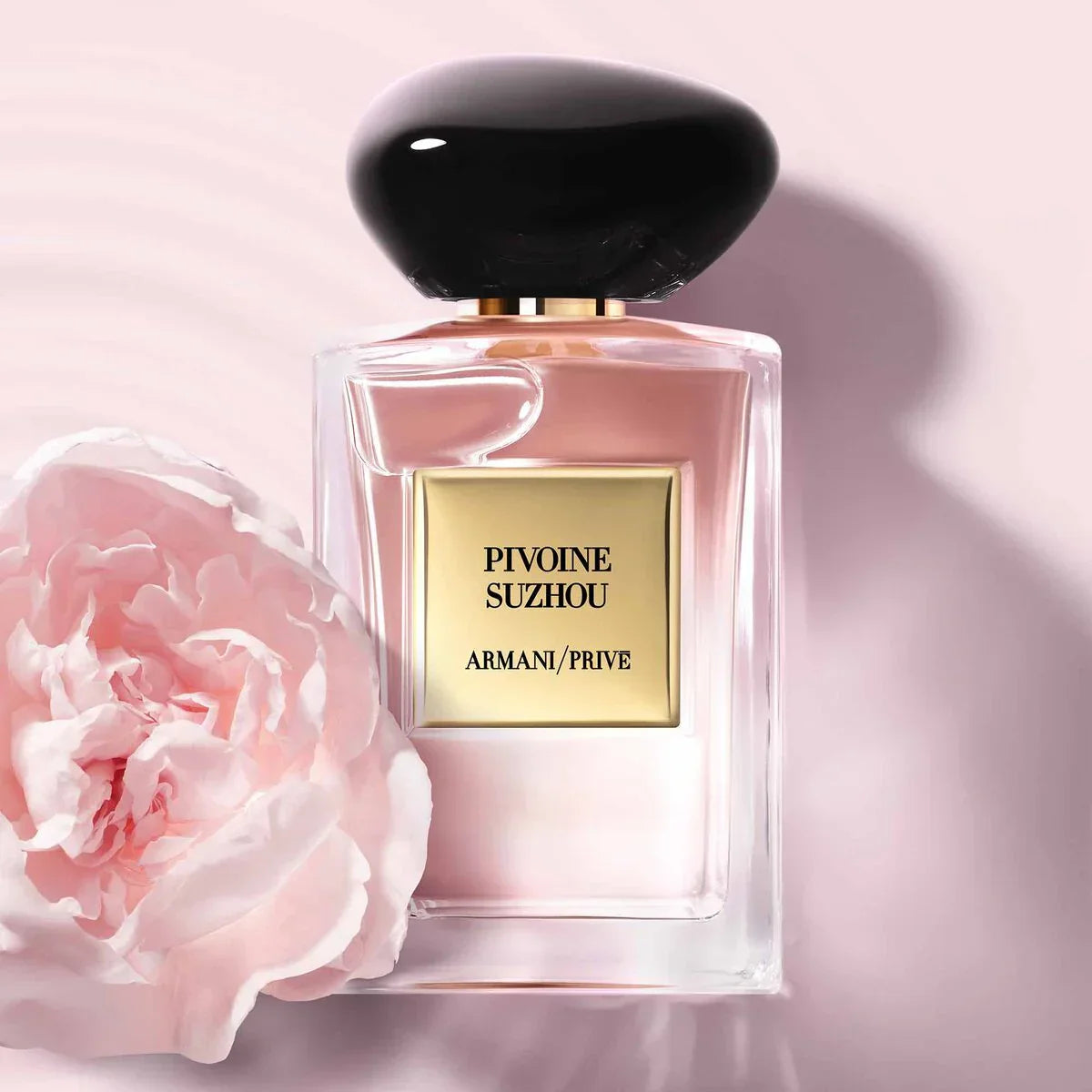 Ar*aani Pr*ve P*voine S*zhouu EDP