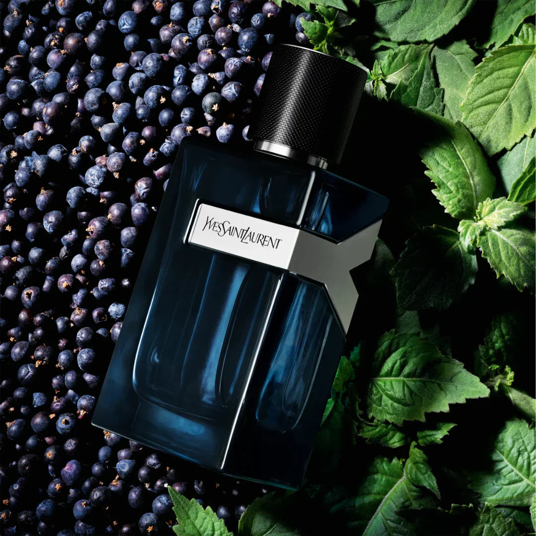 Y*L intense EDP