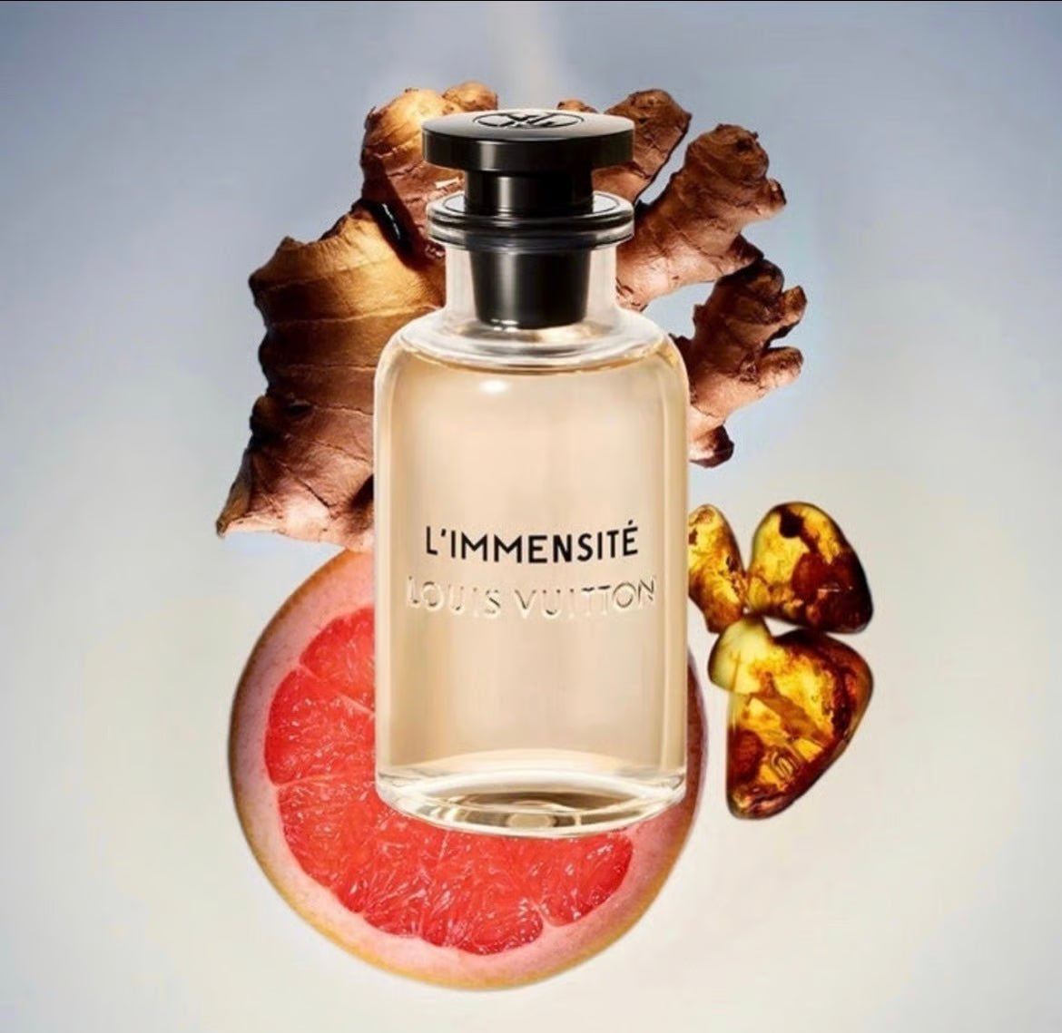 L*uiss V*itttonn L’*mménsitéé EDP