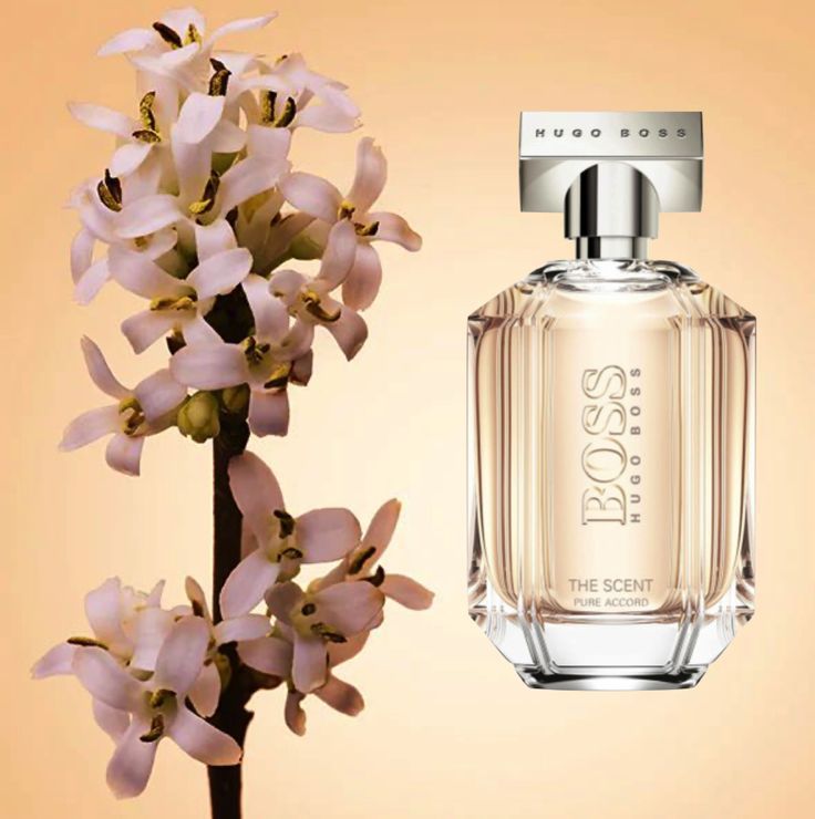 B*ss the scent pu*e acco*d