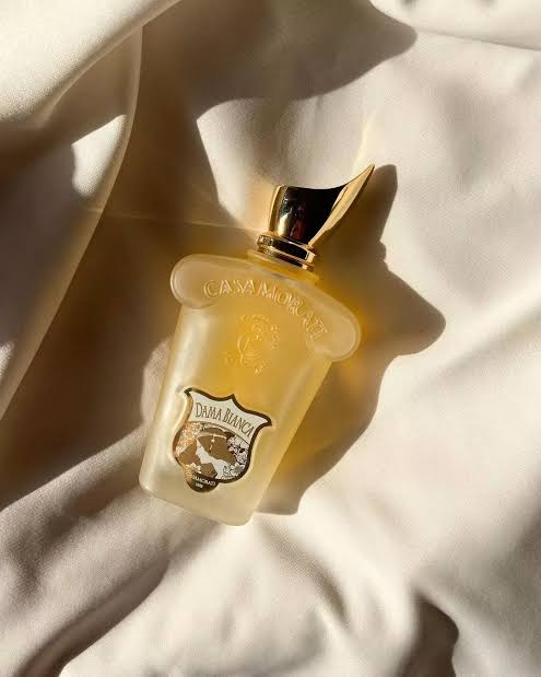 C*samoratii D*ma Bi*nca EDP