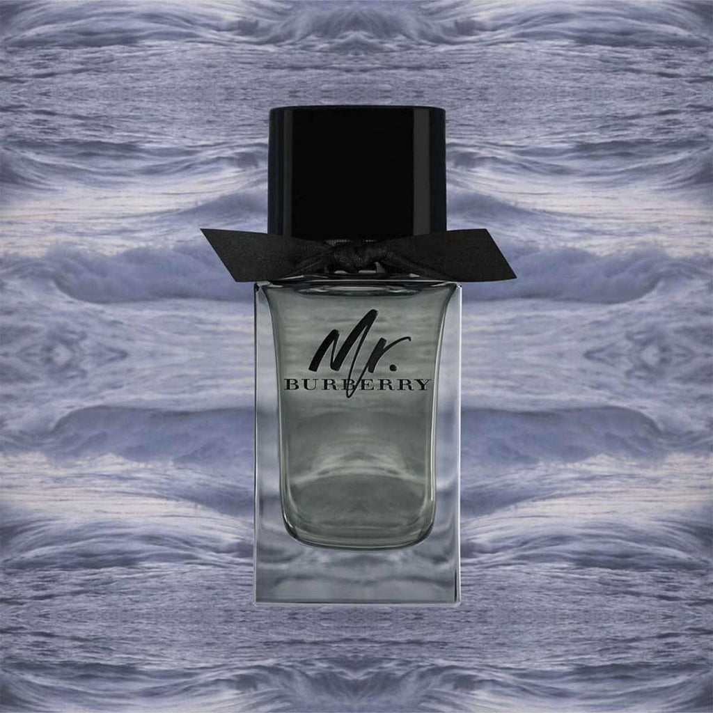 Mr Bur*erry EDT