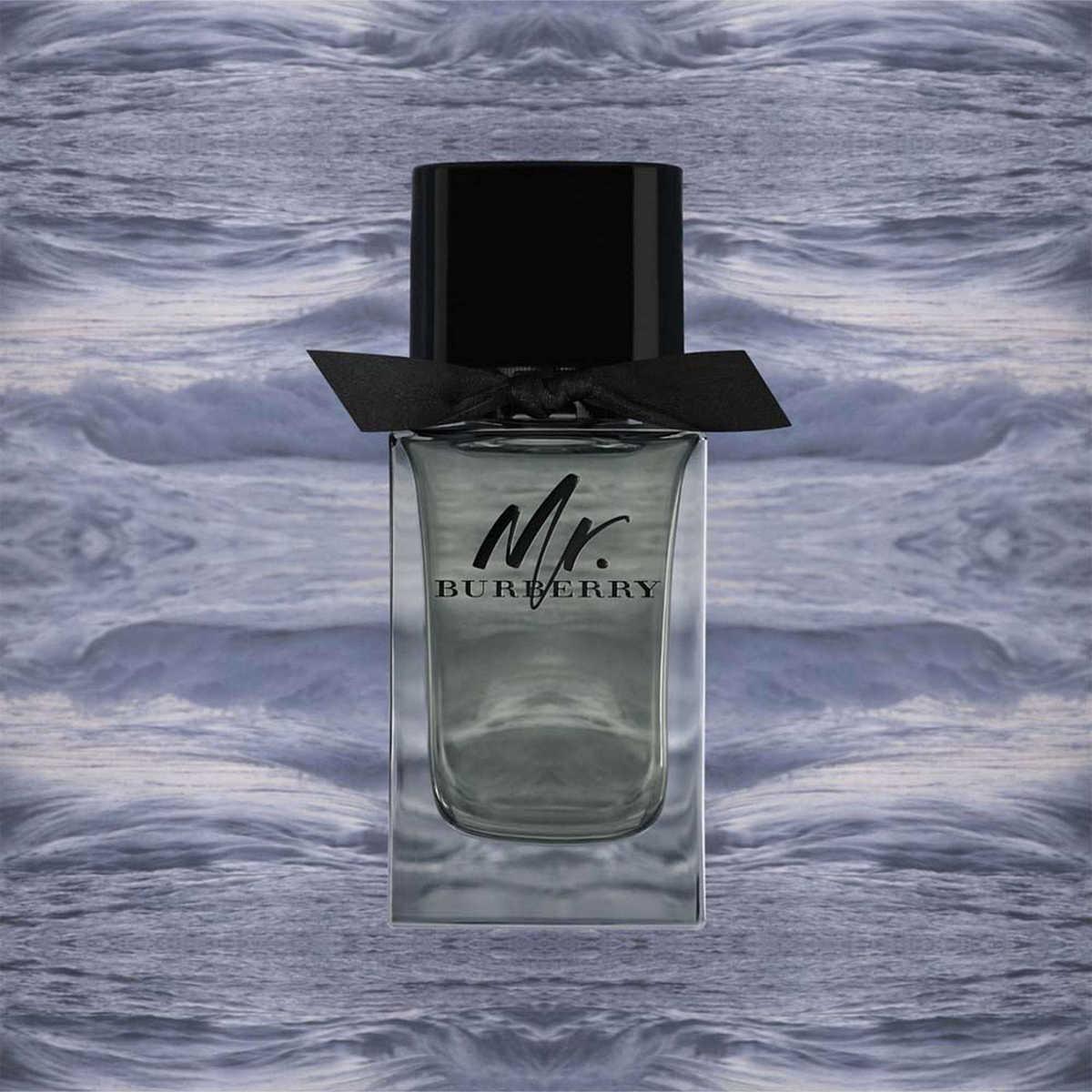 Mr Bur*erry EDT