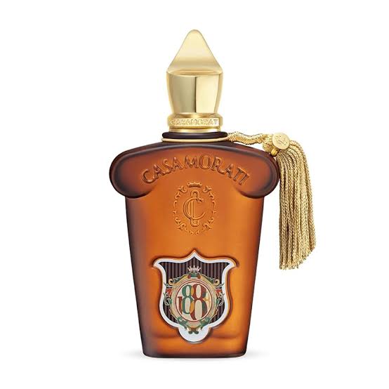 C*samoratii 1888 EDP