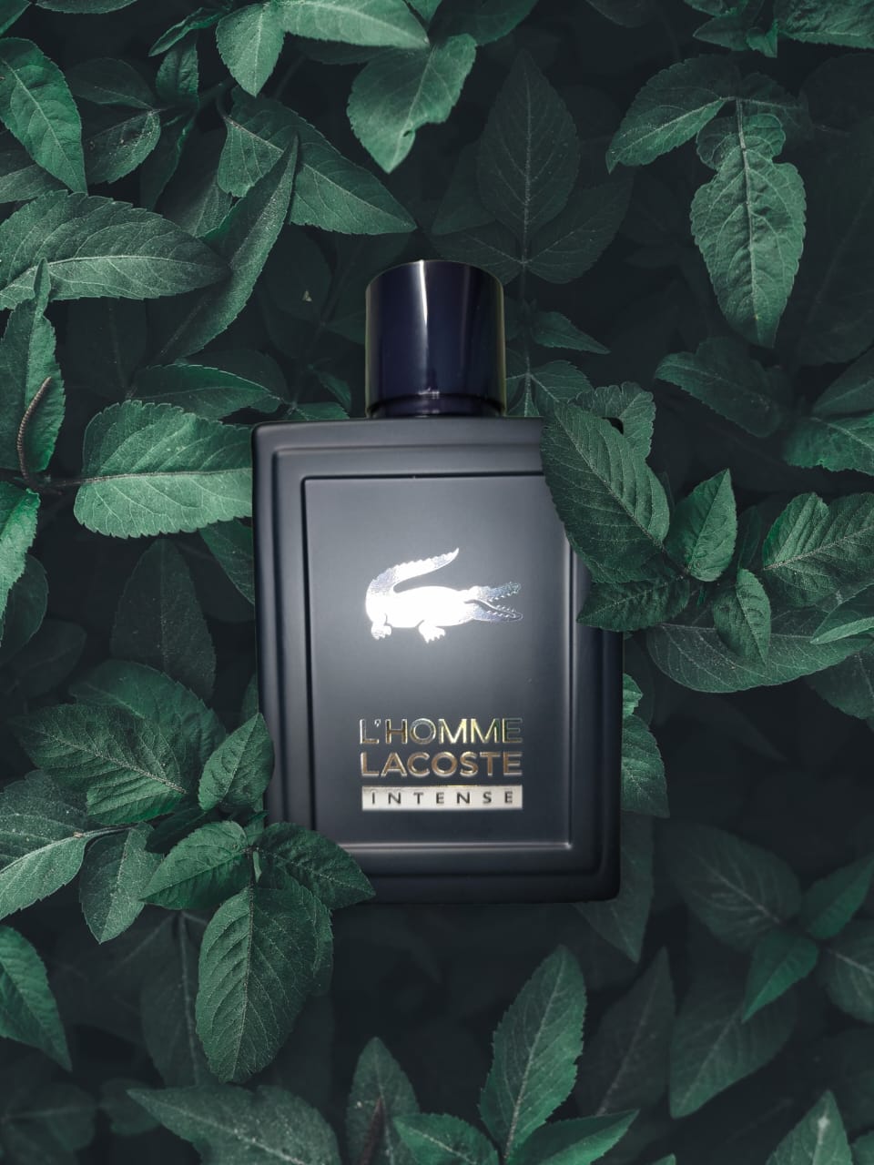 L H*me Intensee By Laco*te Eau De Toilette