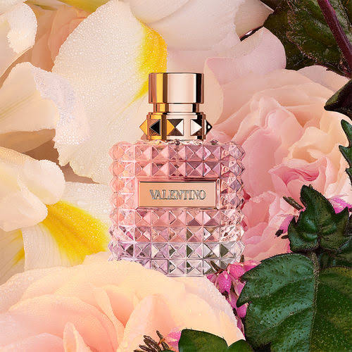 V*lentinoo D*nna edp