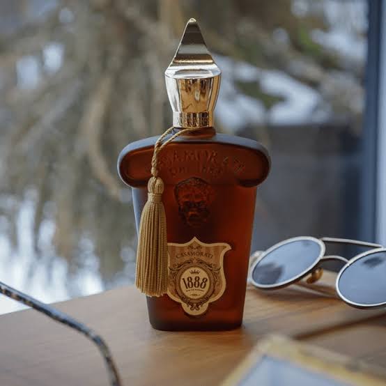 C*samoratii 1888 EDP
