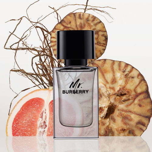 Mr Bur*erry EDT