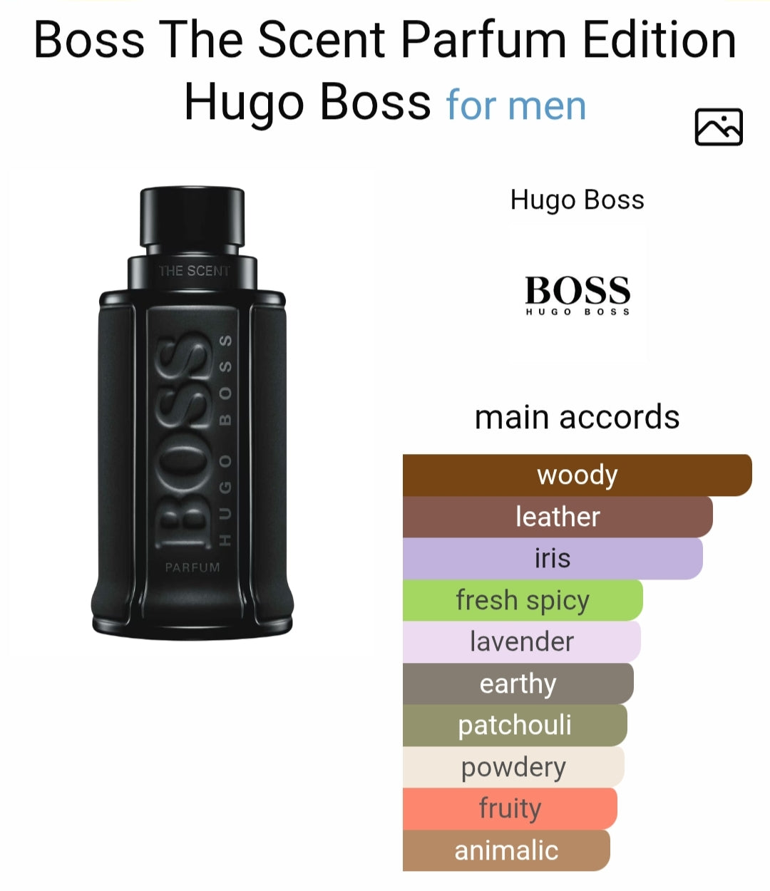B*ss the scent parfum edition for him