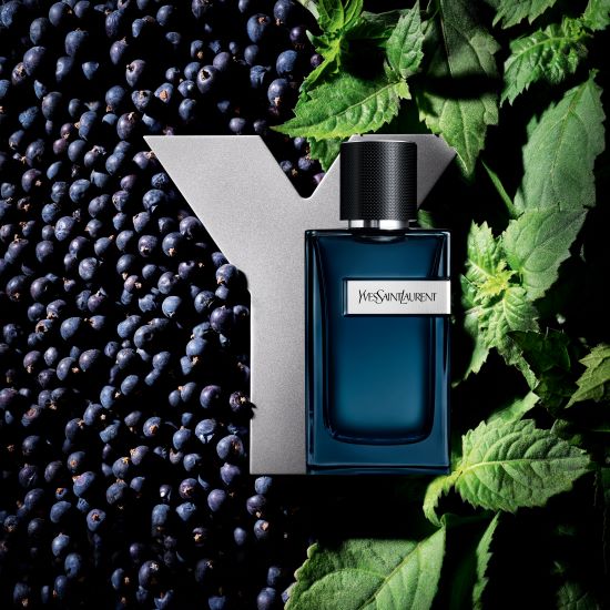 Y*L intense EDP